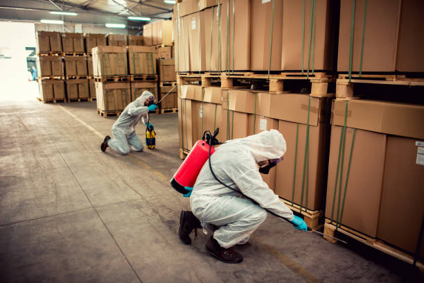 Best Affordable Pest Control Services  in Oregon, OH