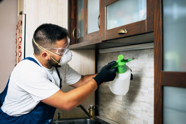 Best Best Pest Control Companies  in Oregon, OH
