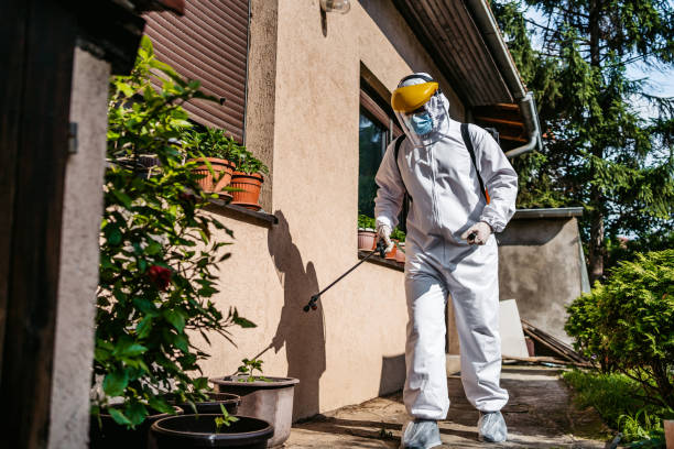 Best Mosquito Control Services  in Oregon, OH