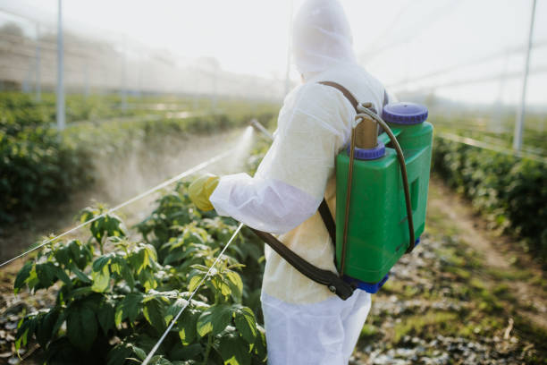 Best Pest Prevention Services  in Oregon, OH